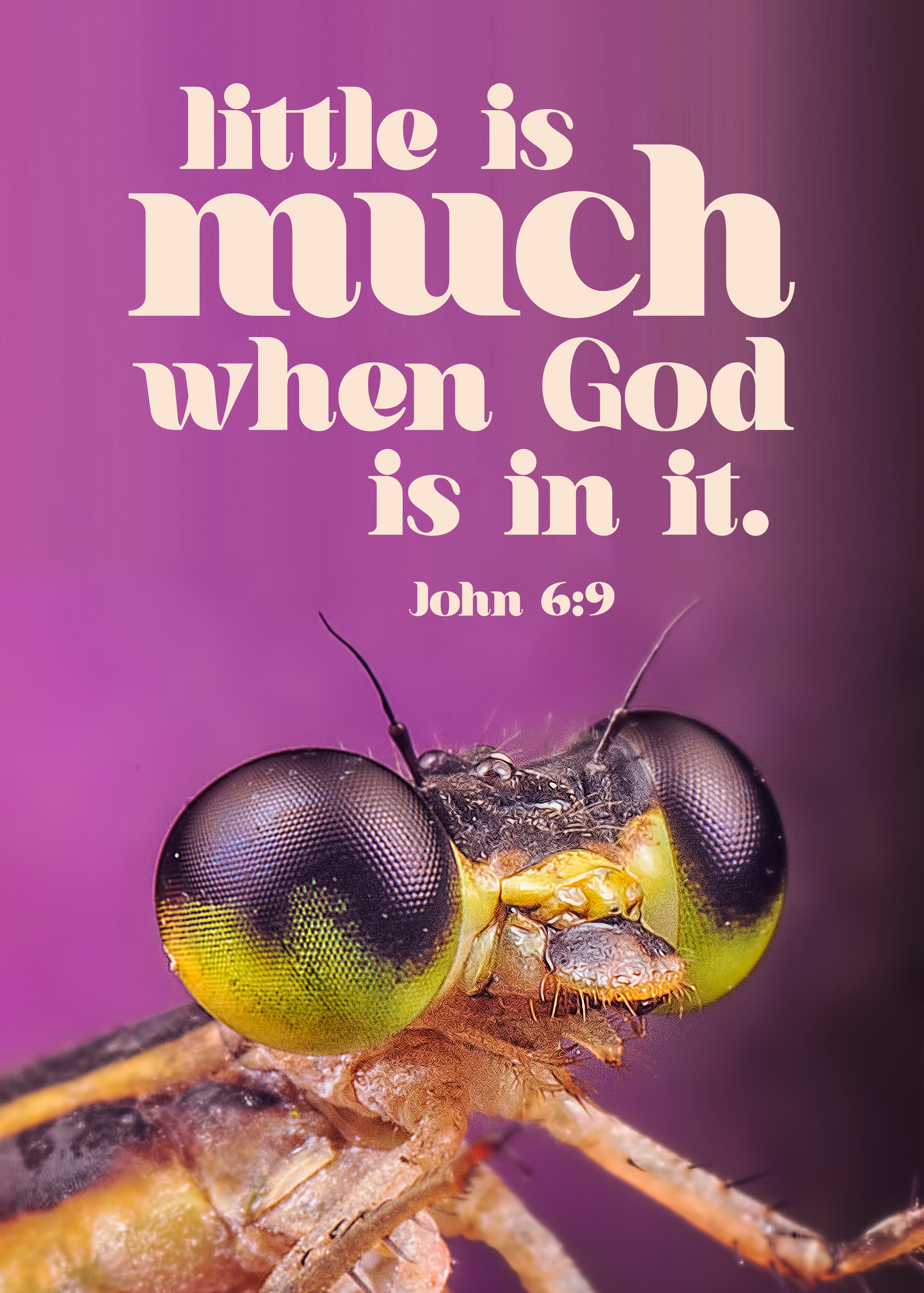 Little Is Much Plasti-Poster - Item 61