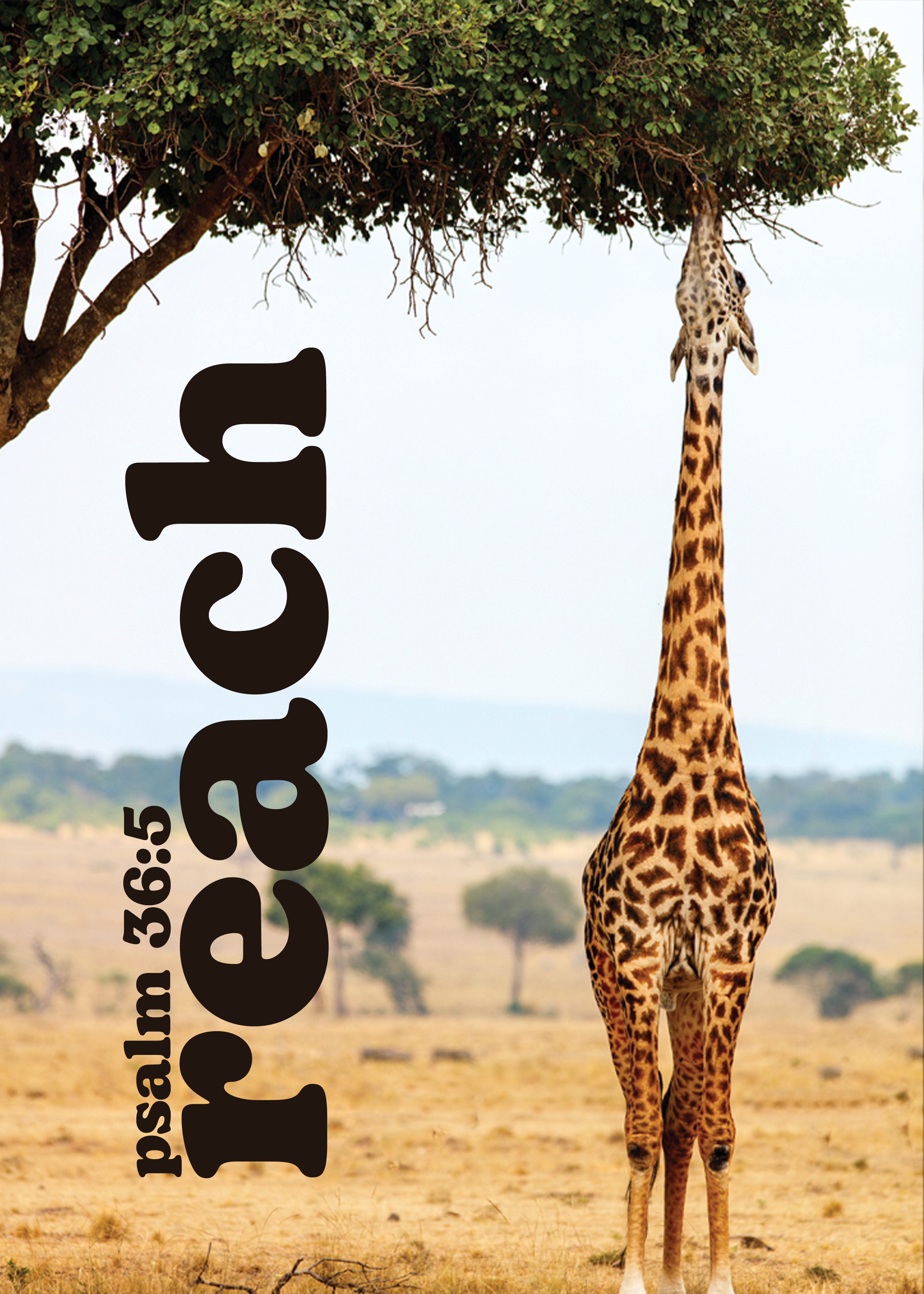 Reach Plasti-Poster - Item 68