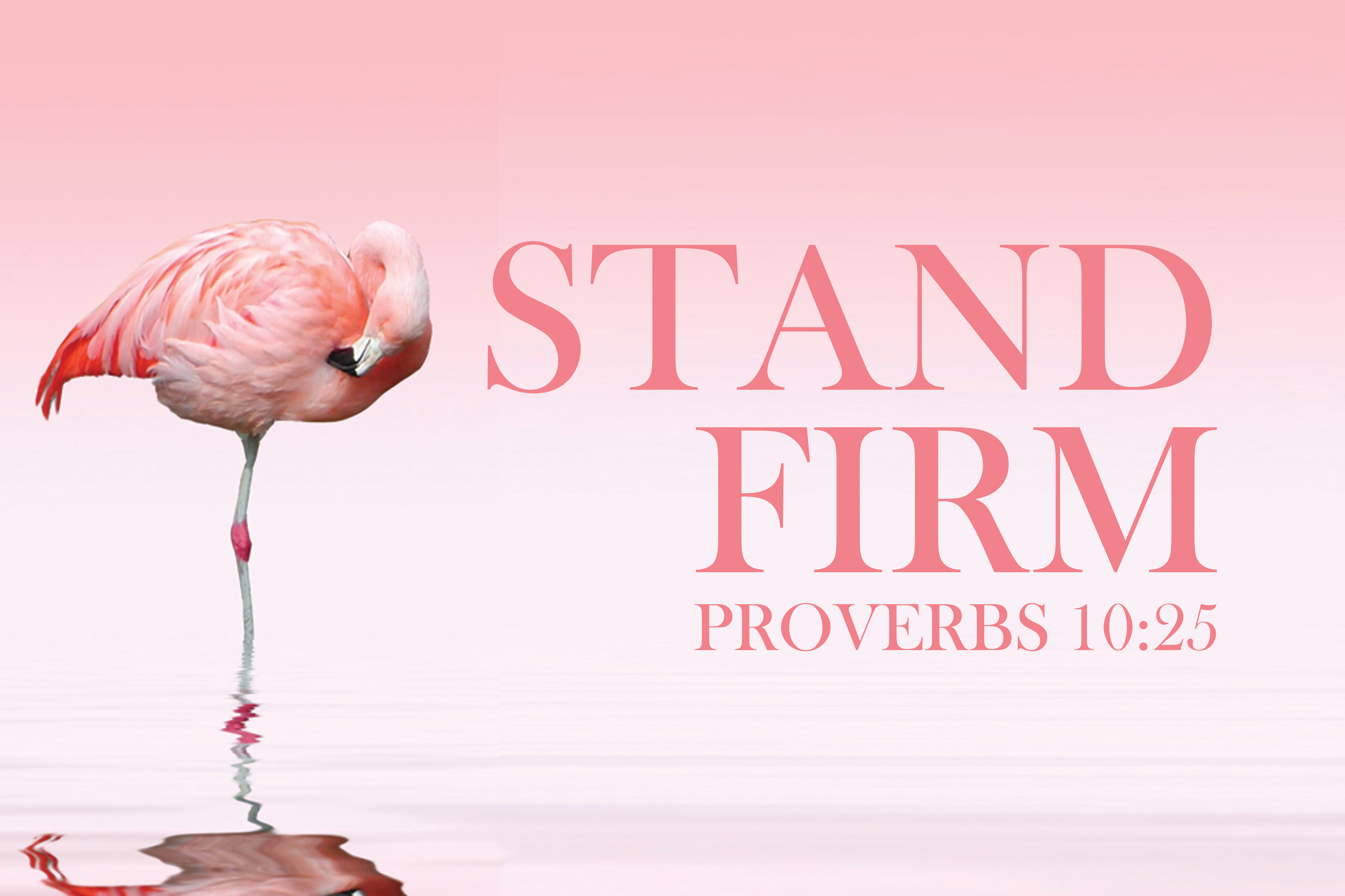 Stand Firm Plasti-Poster - Item 77