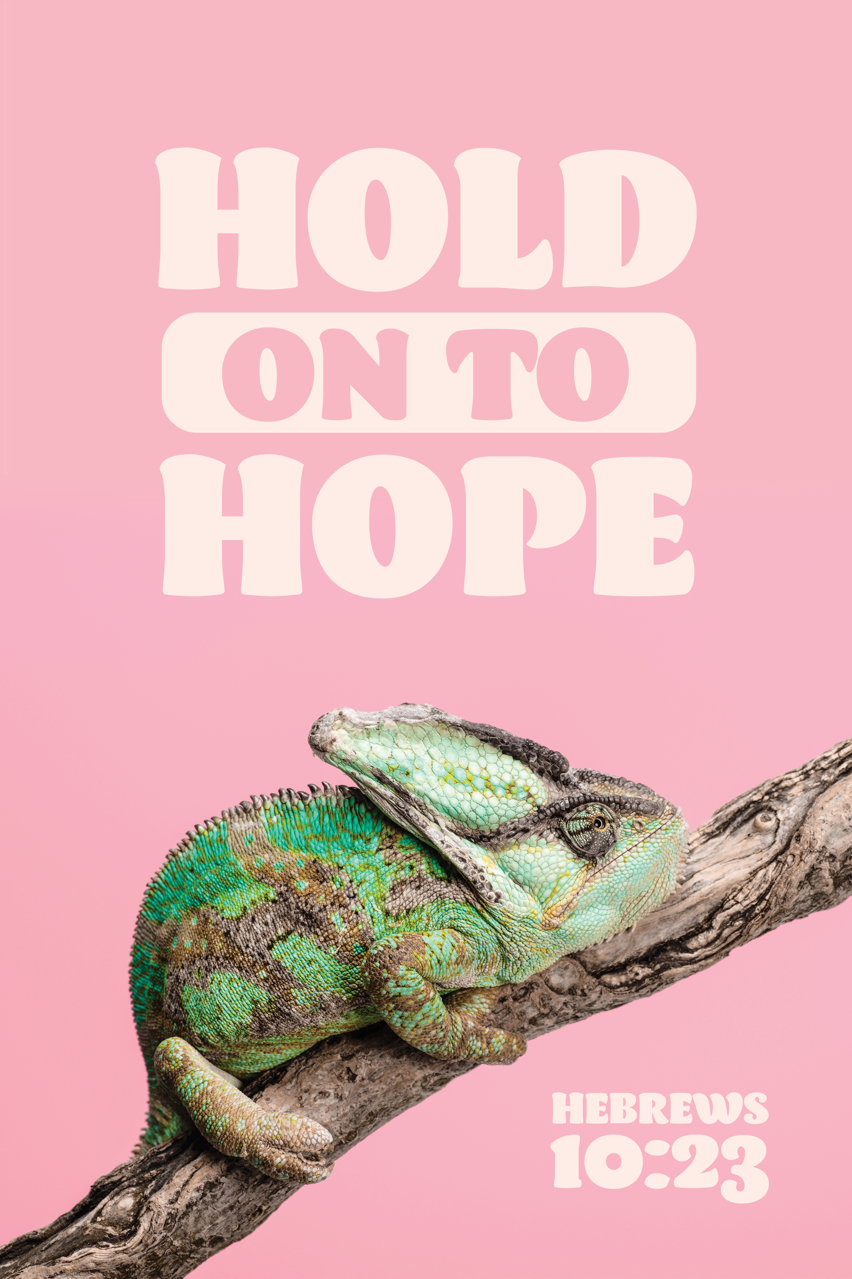 Hold on to Hope Plasti-Poster - Item 78