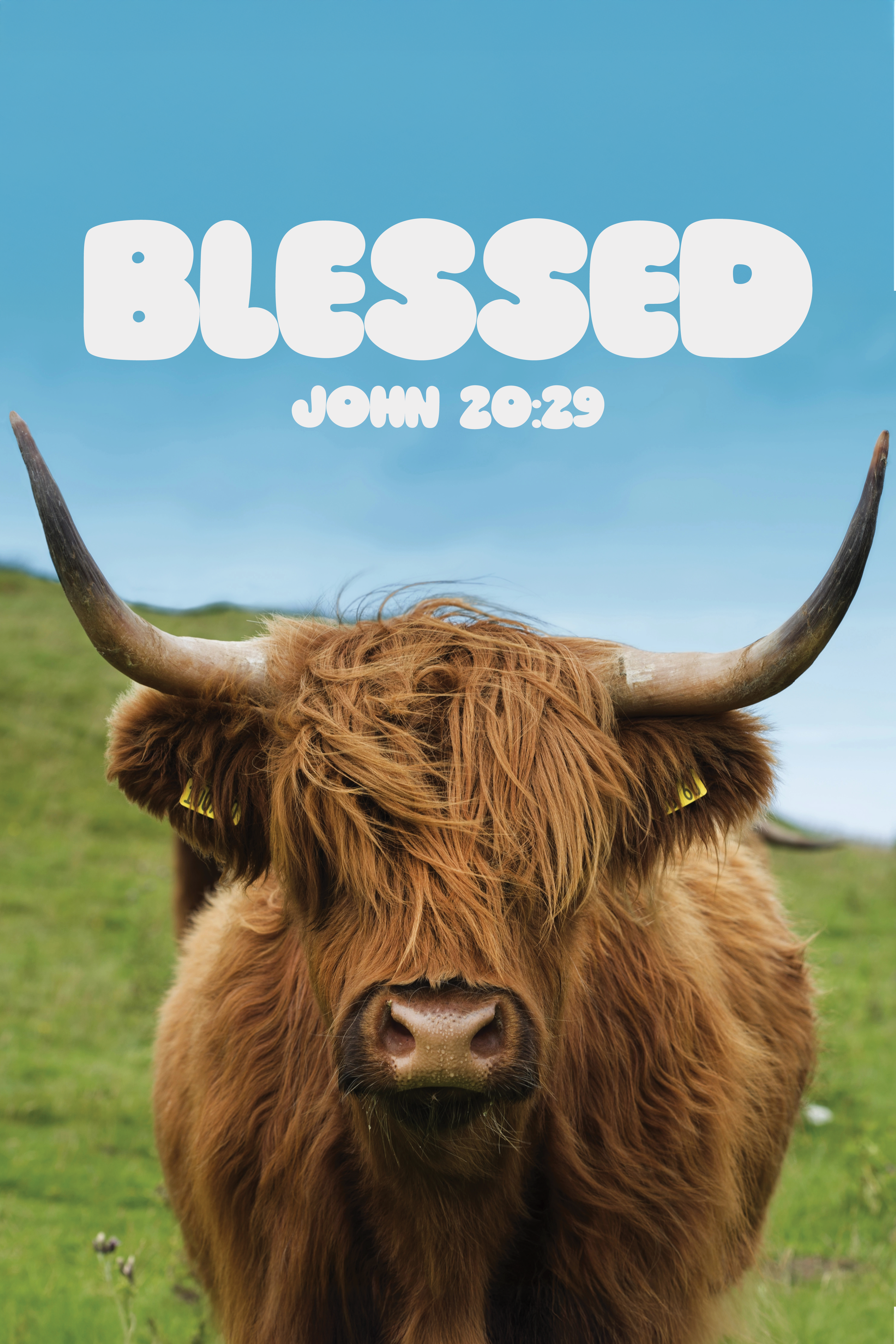 Blessed Plasti-Poster - Item 80