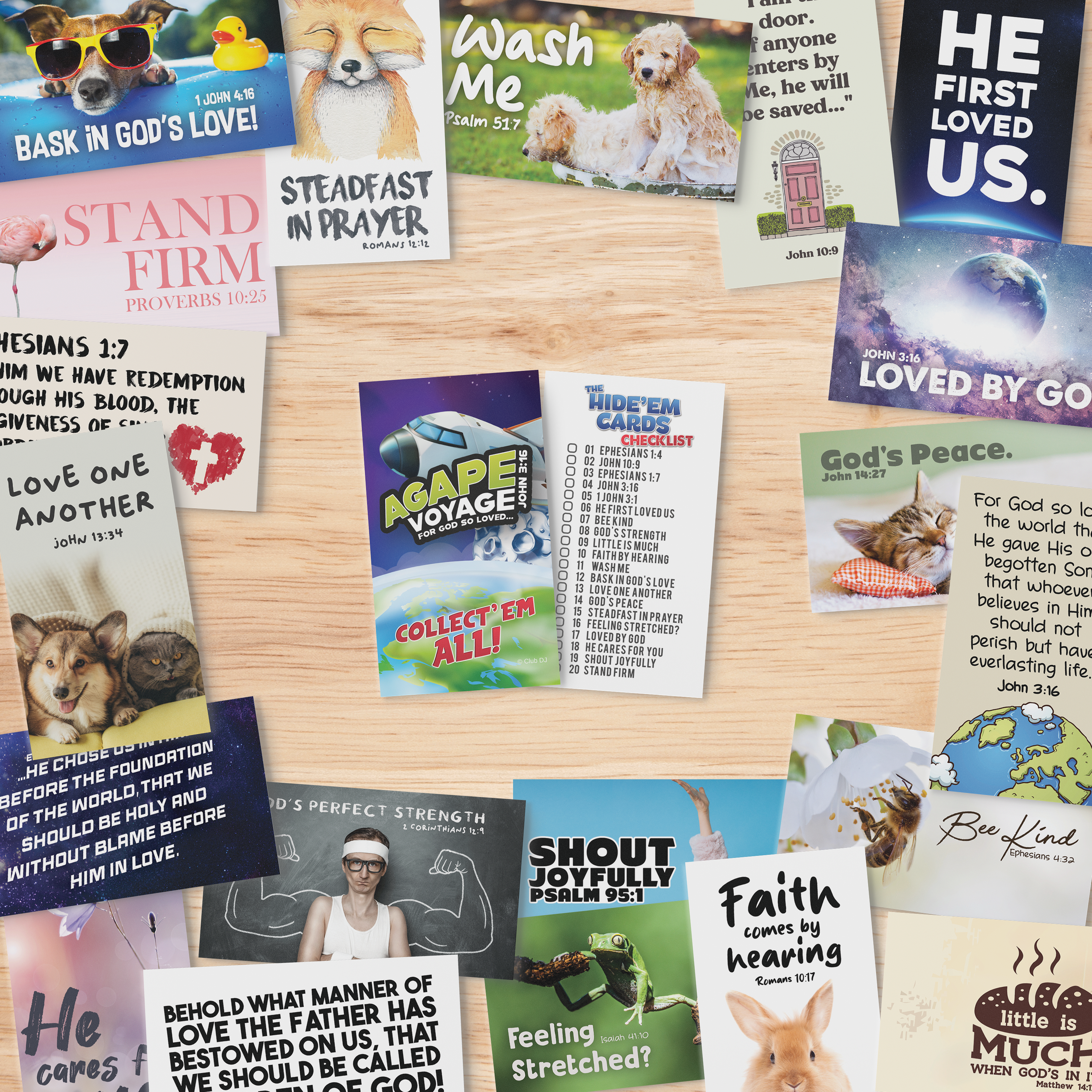 Hide'em Collector Cards - Agape Voyage Series (500 Cards)