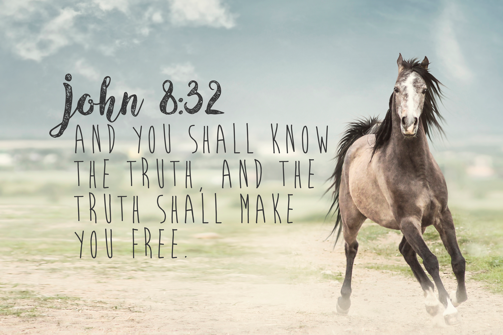John 8:32 Plasti-Poster - Item 69