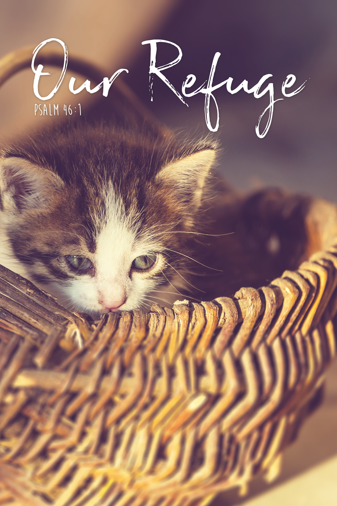 Our Refuge Plasti-Poster - Item 66