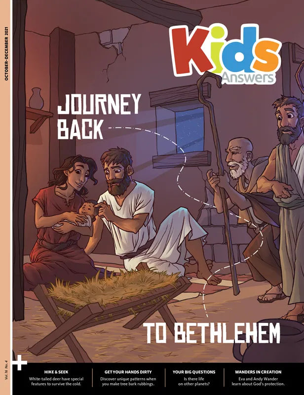 Discover Student Book - Series 1
