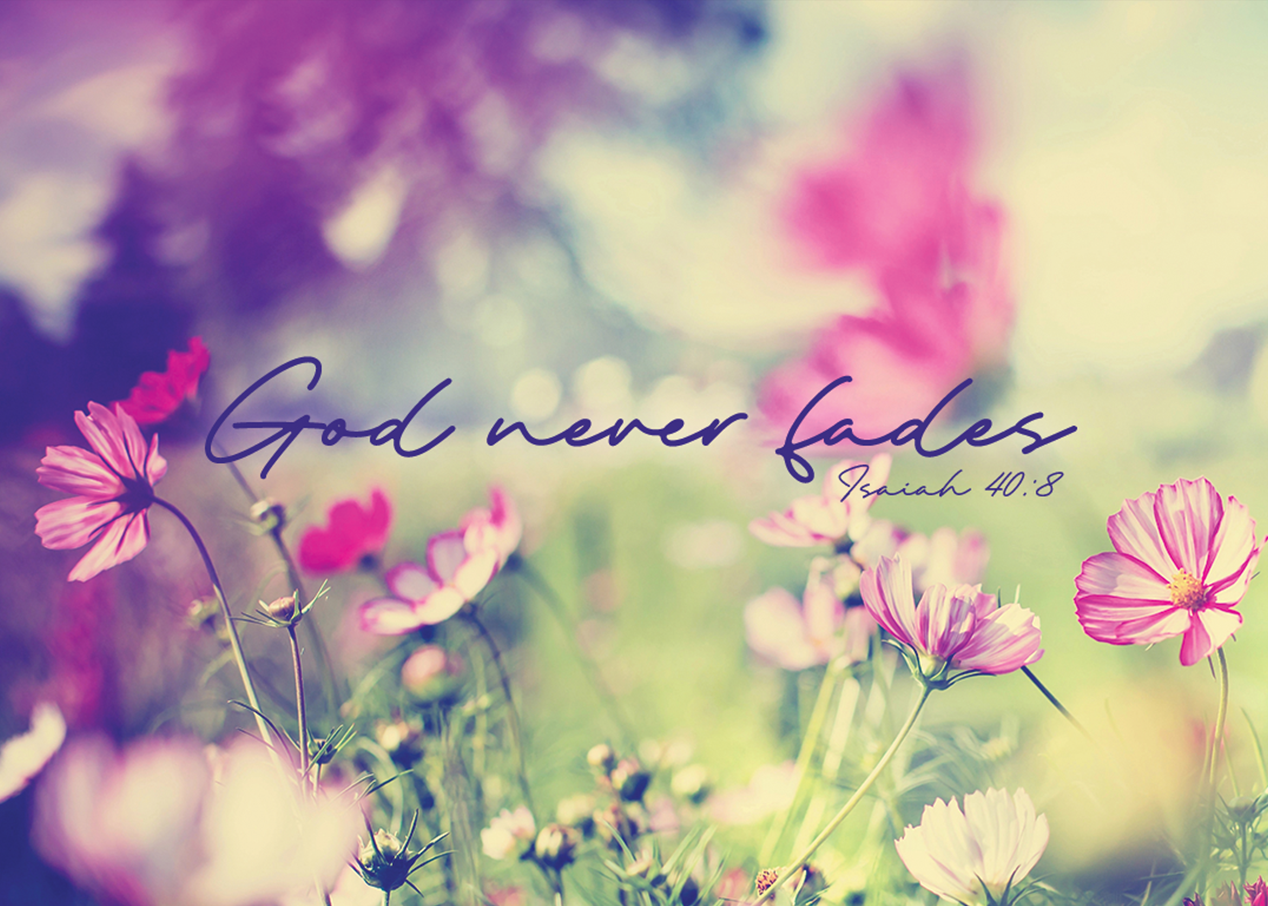 God Never Fades Plasti-Poster - Item 59